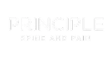 Principle logo